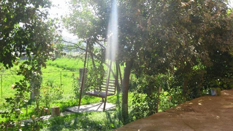 Lary Hostel 수체아바 외부 사진